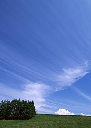 鹿児島県で家族葬を行おうとしている方はここです