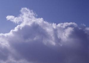 鹿児島県の家族葬専門NPO法人